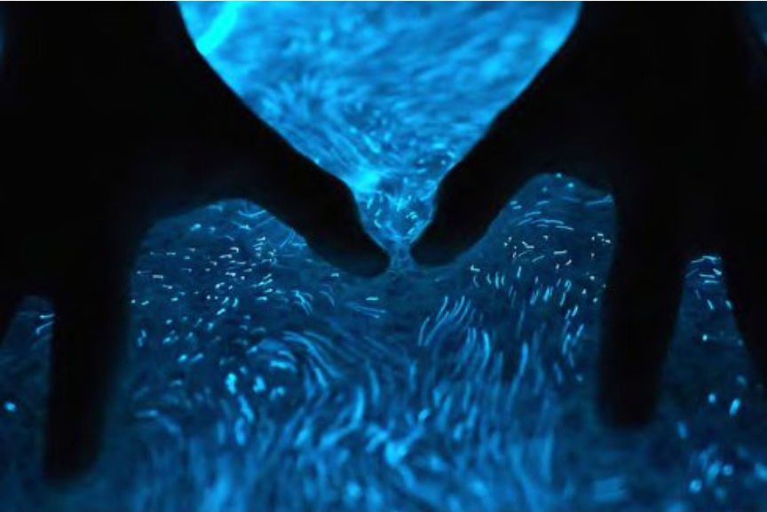 Glowing Nature: hands in bioluminescent water